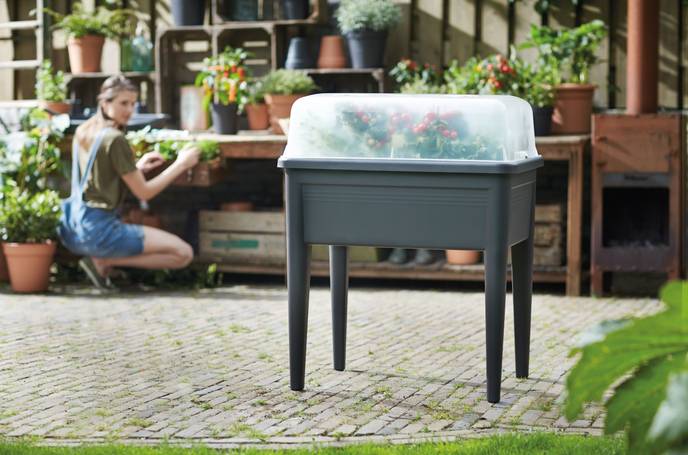 green basics grow house xxl 75cm trasparente